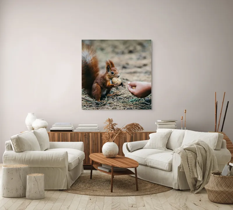 Tablou Canvas, "Întâlnire prietenoasă în pădurea de pin", Sconcs, Arahide, Blană, Coada, Pământ, Interacțiune, Mână, Natură., 100 x 100 cm – poza 3