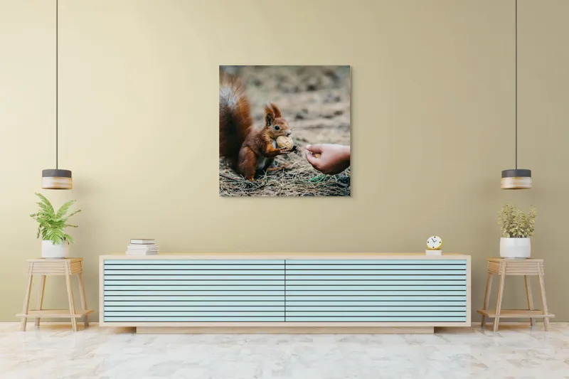 Tablou Canvas, "Întâlnire prietenoasă în pădurea de pin", Sconcs, Arahide, Blană, Coada, Pământ, Interacțiune, Mână, Natură., 100 x 100 cm – poza 5