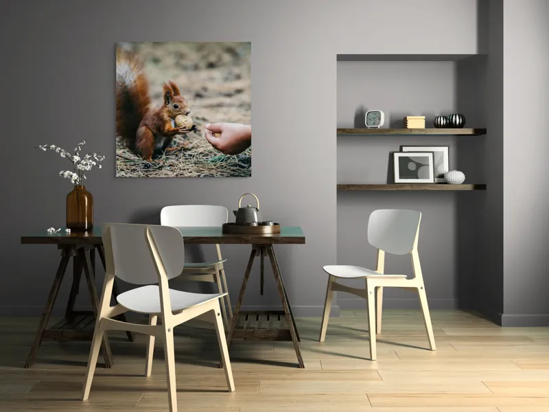 Tablou Canvas, "Întâlnire prietenoasă în pădurea de pin", Sconcs, Arahide, Blană, Coada, Pământ, Interacțiune, Mână, Natură., 100 x 100 cm – poza 6