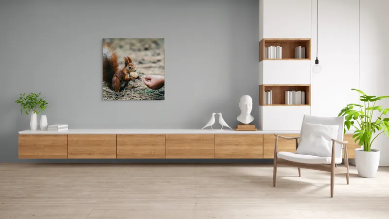 Tablou Canvas, "Întâlnire prietenoasă în pădurea de pin", Sconcs, Arahide, Blană, Coada, Pământ, Interacțiune, Mână, Natură., 100 x 100 cm – poza 8