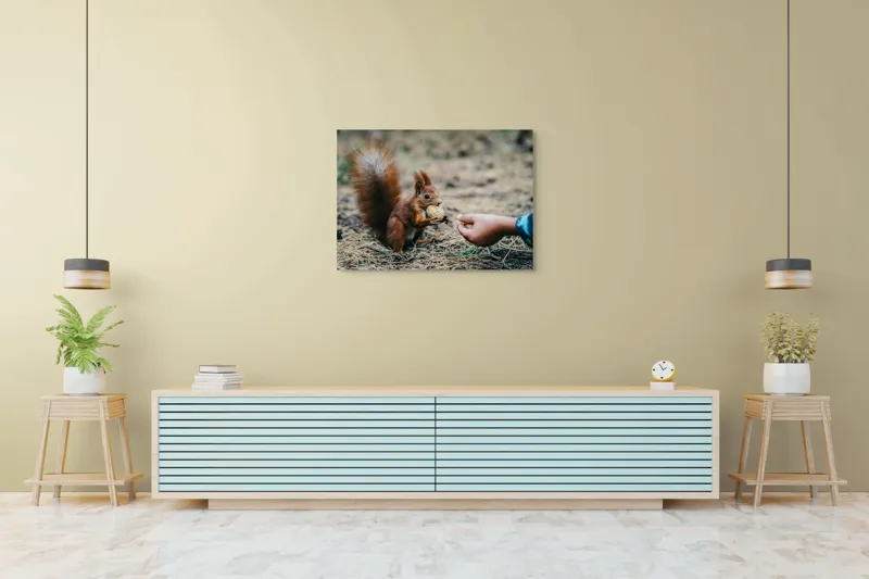Tablou Canvas, "Întâlnire prietenoasă în pădurea de pin", Sconcs, Arahide, Blană, Coada, Pământ, Interacțiune, Mână, Natură., 100 x 70 cm – poza 4