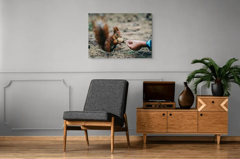 Tablou Canvas, "Întâlnire prietenoasă în pădurea de pin", Sconcs, Arahide, Blană, Coada, Pământ, Interacțiune, Mână, Natură., 100 x 70 cm – poza 8