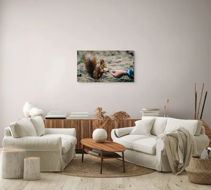 Tablou Canvas, "Întâlnire prietenoasă în pădurea de pin", Sconcs, Arahide, Blană, Coada, Pământ, Interacțiune, Mână, Natură., 90 x 50 cm – poza 4