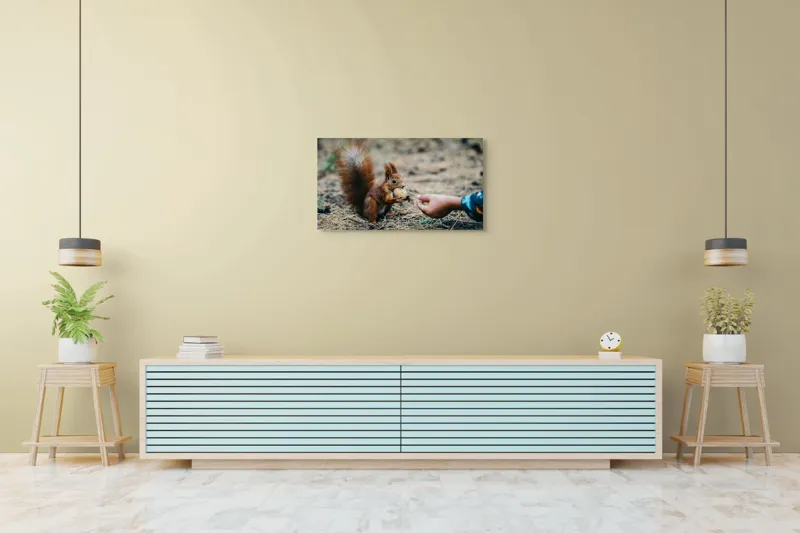 Tablou Canvas, "Întâlnire prietenoasă în pădurea de pin", Sconcs, Arahide, Blană, Coada, Pământ, Interacțiune, Mână, Natură., 90 x 50 cm – poza 5