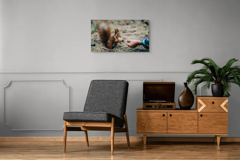 Tablou Canvas, "Întâlnire prietenoasă în pădurea de pin", Sconcs, Arahide, Blană, Coada, Pământ, Interacțiune, Mână, Natură., 90 x 50 cm – poza 6