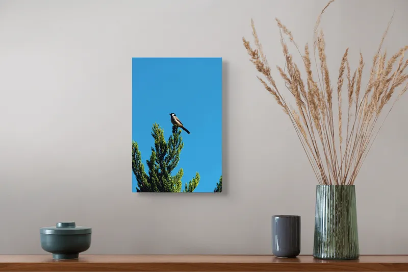 Tablou Canvas, "Pasărea pe ramură sub cer senin", Pasăre, Ramură, Albastru, Cer, Natură, Verde, Frunziș, Calm, Solitudine, Liniște, 26 x 39 cm – poza 5