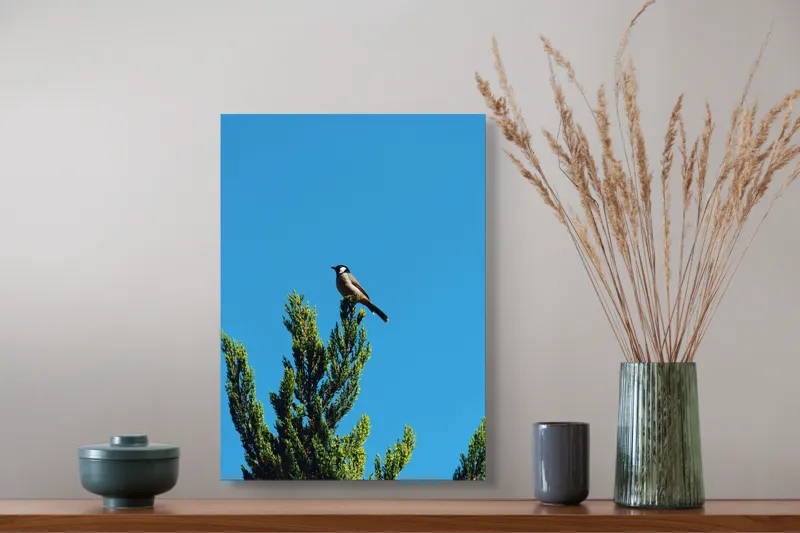 Tablou Canvas, "Pasărea pe ramură sub cer senin", Pasăre, Ramură, Albastru, Cer, Natură, Verde, Frunziș, Calm, Solitudine, Liniște, 39 x 54 cm – poza 3