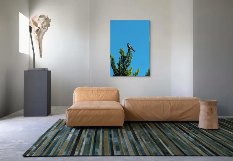 Tablou Canvas, "Pasărea pe ramură sub cer senin", Pasăre, Ramură, Albastru, Cer, Natură, Verde, Frunziș, Calm, Solitudine, Liniște, 70 x 100 cm – poza 7