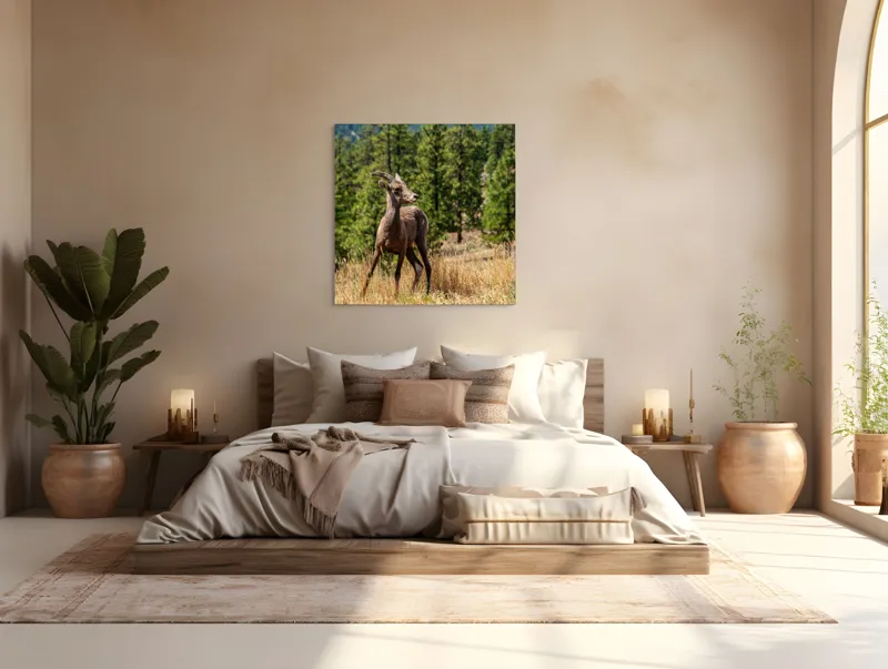 Tablou Canvas, "Capră sălbatică în pădurea de pini", Capră, Munți, Pădure, Iarbă, Cer Senin, Peisaj, Natură, Sălbăticie, 100 x 100 cm – poza 4