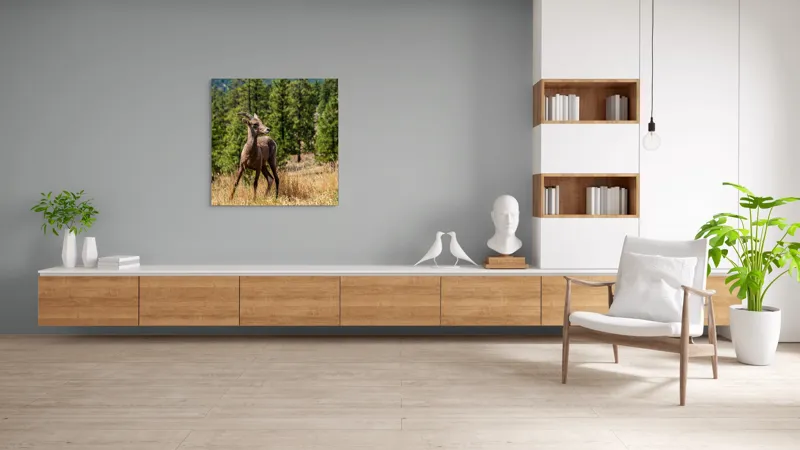 Tablou Canvas, "Capră sălbatică în pădurea de pini", Capră, Munți, Pădure, Iarbă, Cer Senin, Peisaj, Natură, Sălbăticie, 100 x 100 cm – poza 8