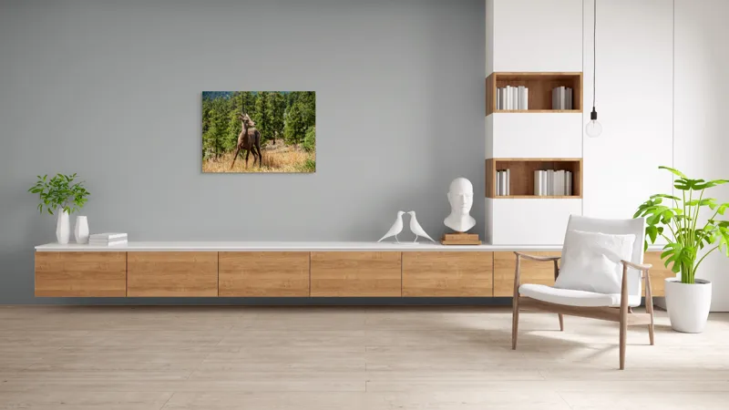 Tablou Canvas, "Capră sălbatică în pădurea de pini", Capră, Munți, Pădure, Iarbă, Cer Senin, Peisaj, Natură, Sălbăticie, 100 x 70 cm – poza 6