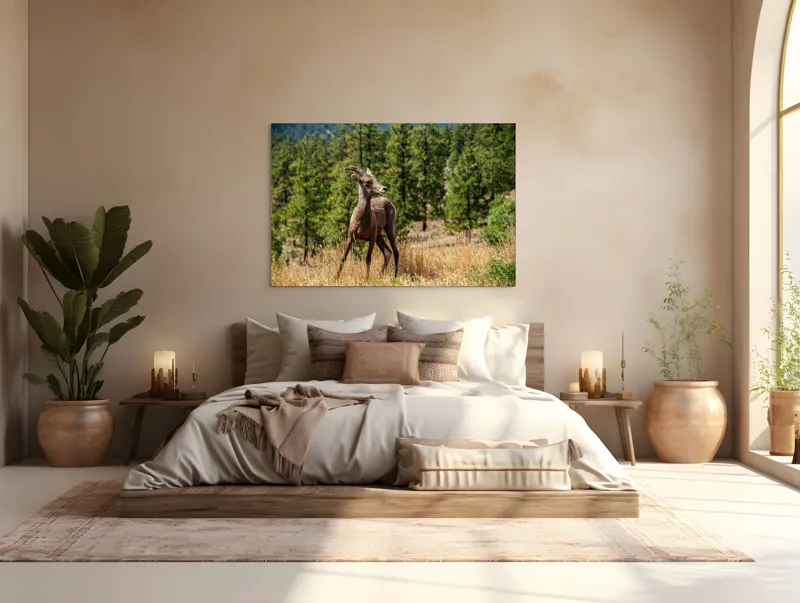 Tablou Canvas, "Capră sălbatică în pădurea de pini", Capră, Munți, Pădure, Iarbă, Cer Senin, Peisaj, Natură, Sălbăticie, 150 x 100 cm – poza 4