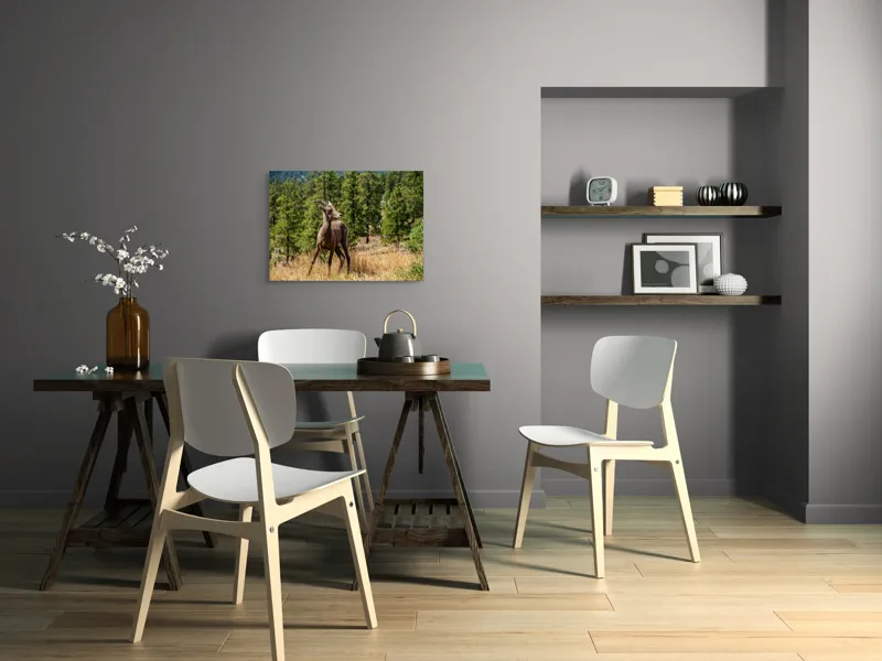 Tablou Canvas, "Capră sălbatică în pădurea de pini", Capră, Munți, Pădure, Iarbă, Cer Senin, Peisaj, Natură, Sălbăticie, 70 x 50 cm – poza 5