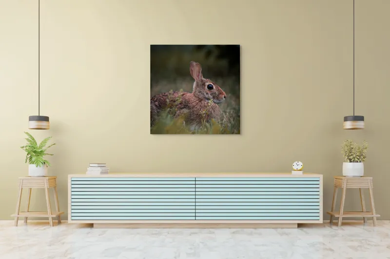Tablou Canvas, "Iepurele în lumina dimineții pădurii", Blândețe, Natură, Măreție, Sânziene, Liniște, Vizuină, Alergare, Urechiușe, Campestru, Tandrețe., 100 x 100 cm – poza 5