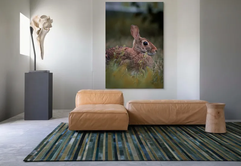 Tablou Canvas, "Iepurele în lumina dimineții pădurii", Blândețe, Natură, Măreție, Sânziene, Liniște, Vizuină, Alergare, Urechiușe, Campestru, Tandrețe., 100 x 150 cm – poza 7