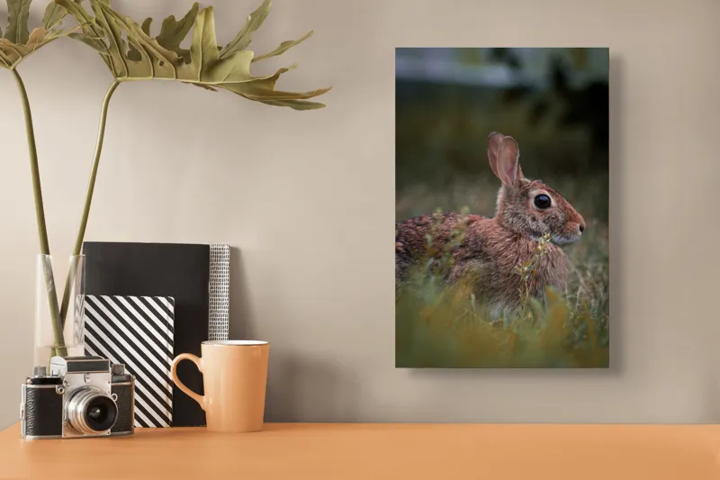Tablou Canvas, "Iepurele în lumina dimineții pădurii", Blândețe, Natură, Măreție, Sânziene, Liniște, Vizuină, Alergare, Urechiușe, Campestru, Tandrețe., 26 x 39 cm – poza 3