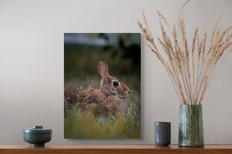 Tablou Canvas, "Iepurele în lumina dimineții pădurii", Blândețe, Natură, Măreție, Sânziene, Liniște, Vizuină, Alergare, Urechiușe, Campestru, Tandrețe., 39 x 54 cm – poza 3