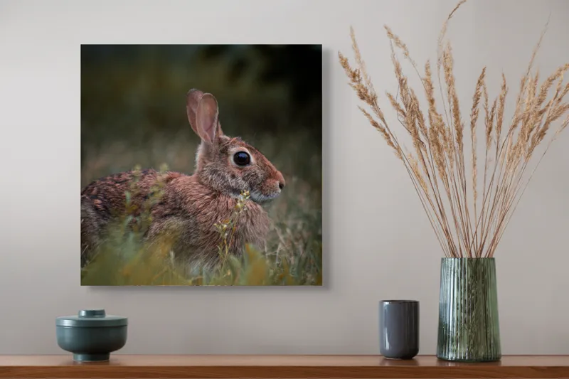 Tablou Canvas, "Iepurele în lumina dimineții pădurii", Blândețe, Natură, Măreție, Sânziene, Liniște, Vizuină, Alergare, Urechiușe, Campestru, Tandrețe., 50 x 50 cm – poza 4