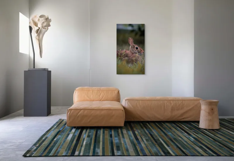 Tablou Canvas, "Iepurele în lumina dimineții pădurii", Blândețe, Natură, Măreție, Sânziene, Liniște, Vizuină, Alergare, Urechiușe, Campestru, Tandrețe., 50 x 90 cm – poza 5