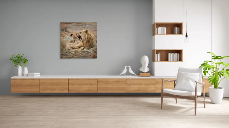 Tablou Canvas, "Leii odihnindu-se în savană africană", Leu, Leoaică, Savana, Tandrețe, Relaxează, Comunicare, Natura, Blană, Serenitate, Interacțiune, 100 x 100 cm – poza 8