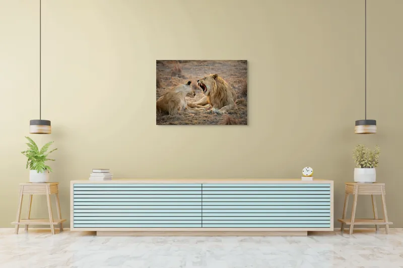 Tablou Canvas, "Leii odihnindu-se în savană africană", Leu, Leoaică, Savana, Tandrețe, Relaxează, Comunicare, Natura, Blană, Serenitate, Interacțiune, 100 x 70 cm – poza 4