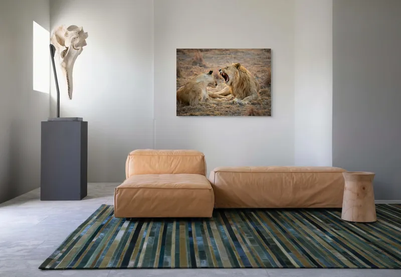 Tablou Canvas, "Leii odihnindu-se în savană africană", Leu, Leoaică, Savana, Tandrețe, Relaxează, Comunicare, Natura, Blană, Serenitate, Interacțiune, 100 x 70 cm – poza 7