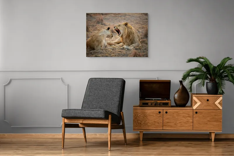 Tablou Canvas, "Leii odihnindu-se în savană africană", Leu, Leoaică, Savana, Tandrețe, Relaxează, Comunicare, Natura, Blană, Serenitate, Interacțiune, 100 x 70 cm – poza 8