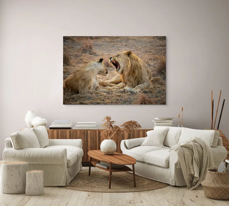Tablou Canvas, "Leii odihnindu-se în savană africană", Leu, Leoaică, Savana, Tandrețe, Relaxează, Comunicare, Natura, Blană, Serenitate, Interacțiune, 150 x 100 cm – poza 3