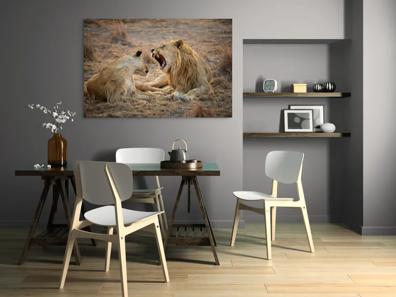Tablou Canvas, "Leii odihnindu-se în savană africană", Leu, Leoaică, Savana, Tandrețe, Relaxează, Comunicare, Natura, Blană, Serenitate, Interacțiune, 150 x 100 cm – poza 5