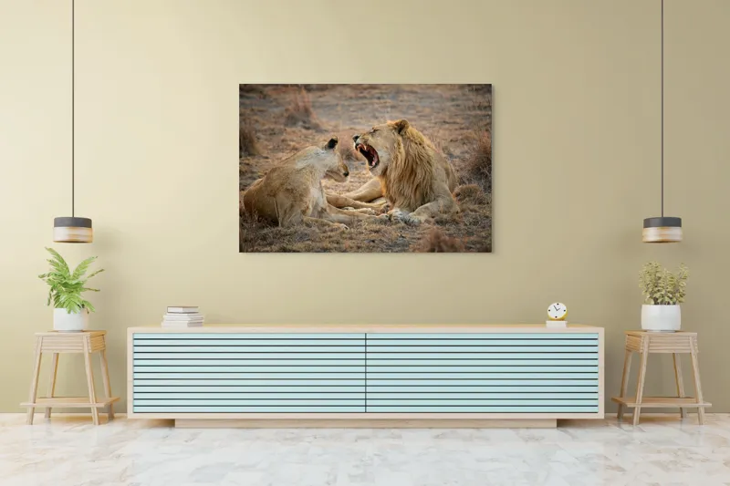 Tablou Canvas, "Leii odihnindu-se în savană africană", Leu, Leoaică, Savana, Tandrețe, Relaxează, Comunicare, Natura, Blană, Serenitate, Interacțiune, 150 x 100 cm – poza 6