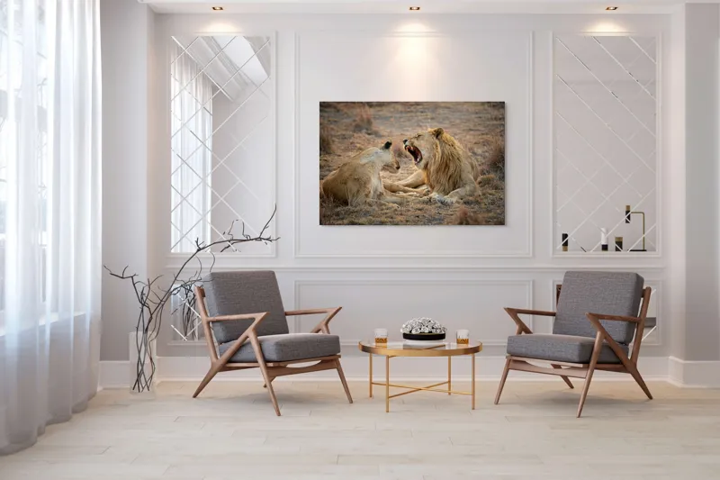 Tablou Canvas, "Leii odihnindu-se în savană africană", Leu, Leoaică, Savana, Tandrețe, Relaxează, Comunicare, Natura, Blană, Serenitate, Interacțiune, 150 x 100 cm – poza 7