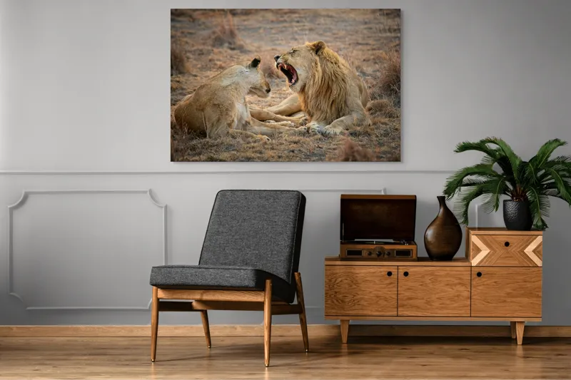 Tablou Canvas, "Leii odihnindu-se în savană africană", Leu, Leoaică, Savana, Tandrețe, Relaxează, Comunicare, Natura, Blană, Serenitate, Interacțiune, 150 x 100 cm – poza 8