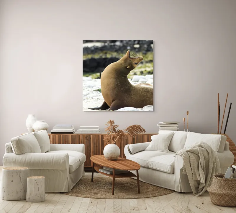 Tablou Canvas, "Leu de mare relaxându-se pe plajă", Nu pot spune cu certitudine ce sau cine este în imagine., 100 x 100 cm – poza 3