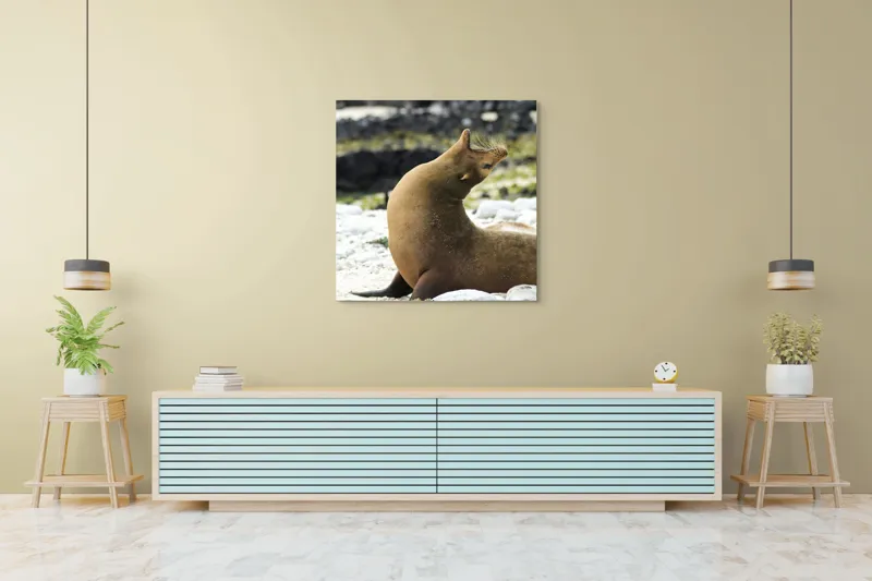 Tablou Canvas, "Leu de mare relaxându-se pe plajă", Nu pot spune cu certitudine ce sau cine este în imagine., 100 x 100 cm – poza 5