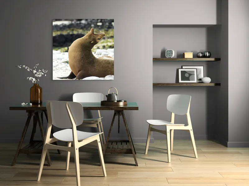 Tablou Canvas, "Leu de mare relaxându-se pe plajă", Nu pot spune cu certitudine ce sau cine este în imagine., 100 x 100 cm – poza 6
