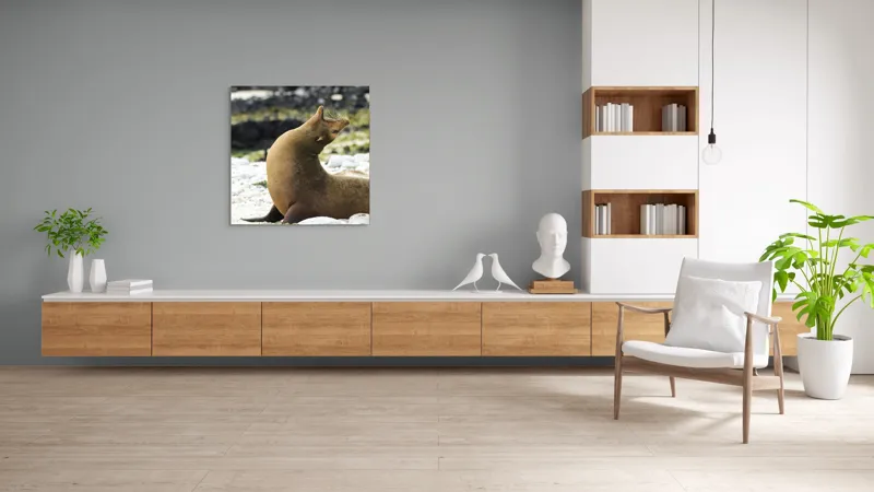 Tablou Canvas, "Leu de mare relaxându-se pe plajă", Nu pot spune cu certitudine ce sau cine este în imagine., 100 x 100 cm – poza 8