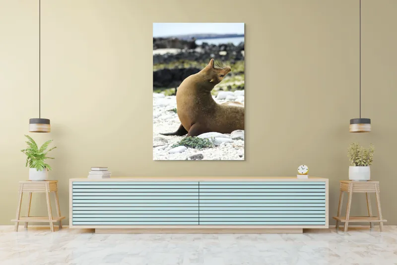 Tablou Canvas, "Leu de mare relaxându-se pe plajă", 100 x 150 cm – poza 4