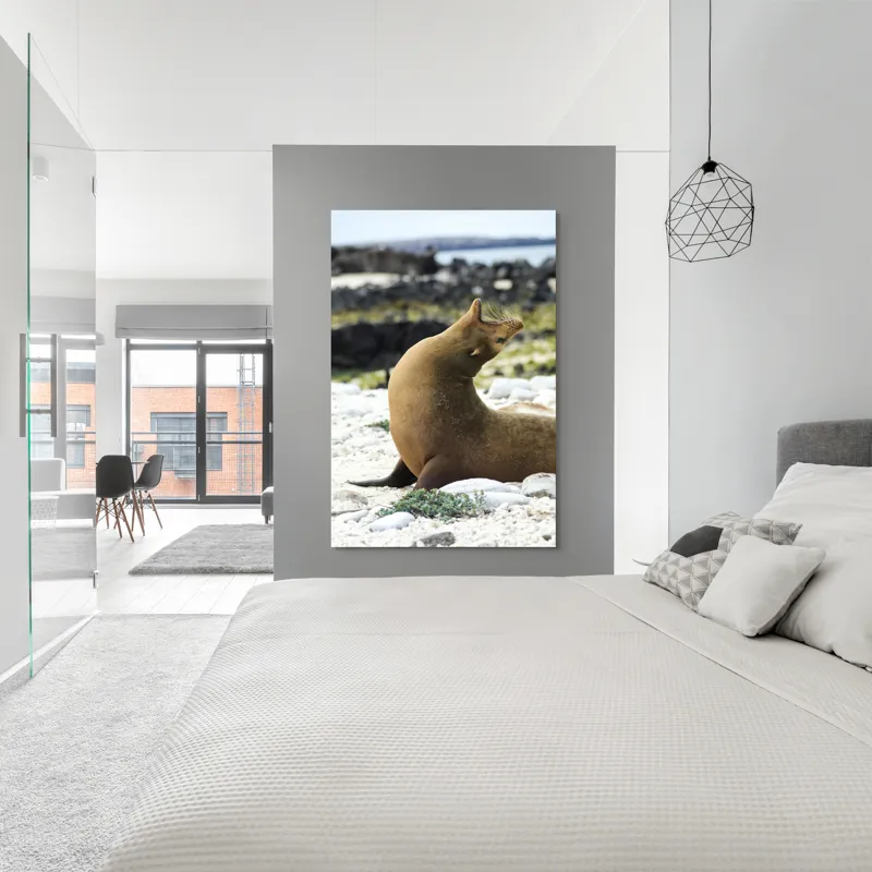 Tablou Canvas, "Leu de mare relaxându-se pe plajă", 100 x 150 cm – poza 5