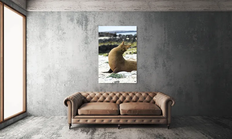 Tablou Canvas, "Leu de mare relaxându-se pe plajă", 100 x 150 cm – poza 6