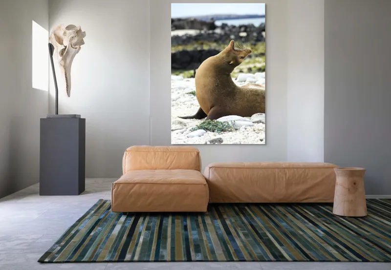Tablou Canvas, "Leu de mare relaxându-se pe plajă", 100 x 150 cm – poza 7