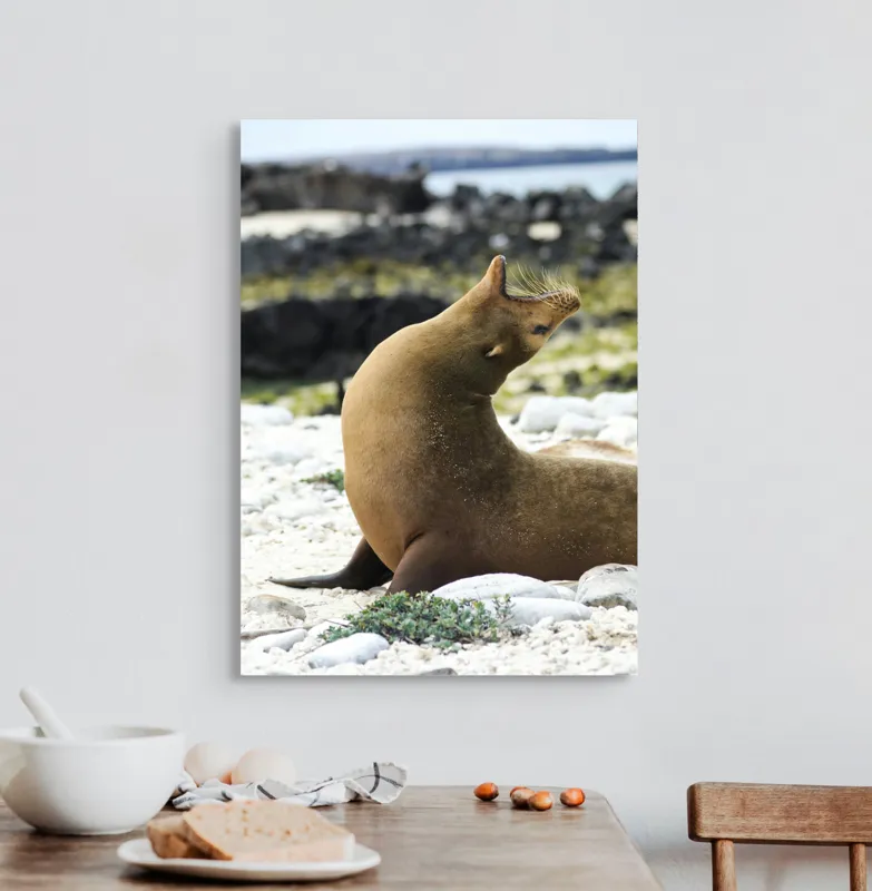 Tablou Canvas, "Leu de mare relaxându-se pe plajă", Nu pot spune cu certitudine ce sau cine este în imagine., 50 x 70 cm – poza 3