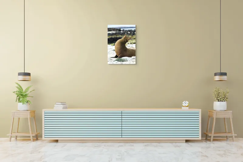 Tablou Canvas, "Leu de mare relaxându-se pe plajă", Nu pot spune cu certitudine ce sau cine este în imagine., 50 x 70 cm – poza 6