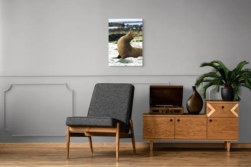 Tablou Canvas, "Leu de mare relaxându-se pe plajă", Nu pot spune cu certitudine ce sau cine este în imagine., 50 x 70 cm – poza 8
