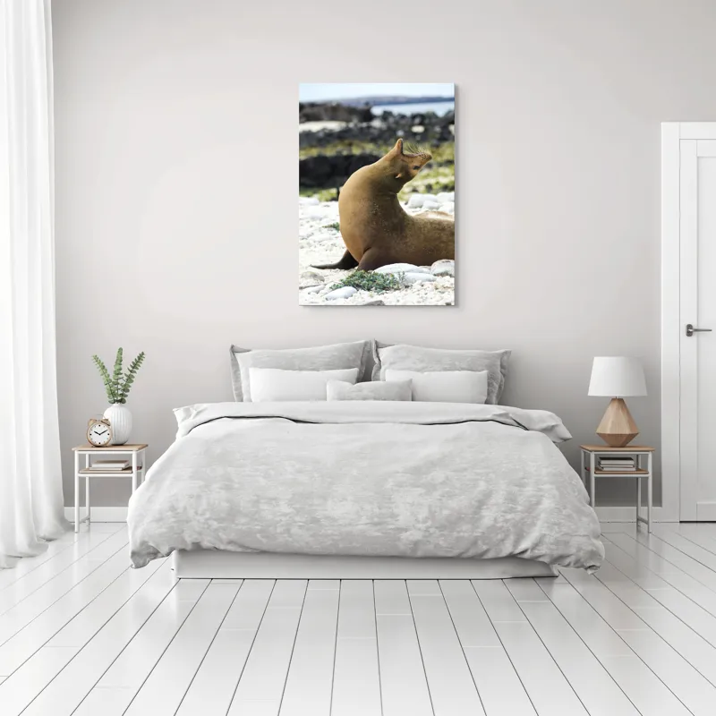 Tablou Canvas, "Leu de mare relaxându-se pe plajă", Nu pot spune cu certitudine ce sau cine este în imagine., 70 x 100 cm – poza 3