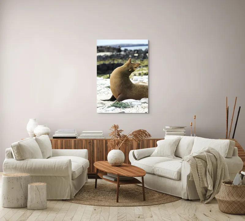 Tablou Canvas, "Leu de mare relaxându-se pe plajă", Nu pot spune cu certitudine ce sau cine este în imagine., 70 x 100 cm – poza 4