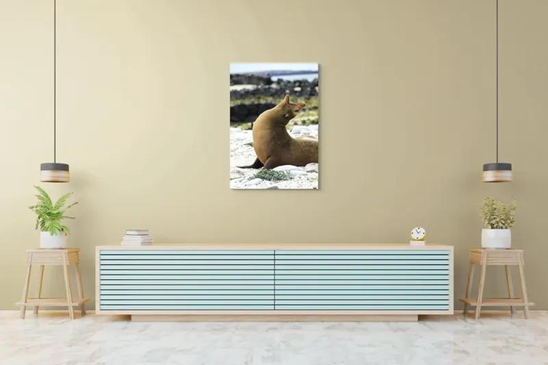 Tablou Canvas, "Leu de mare relaxându-se pe plajă", Nu pot spune cu certitudine ce sau cine este în imagine., 70 x 100 cm – poza 5
