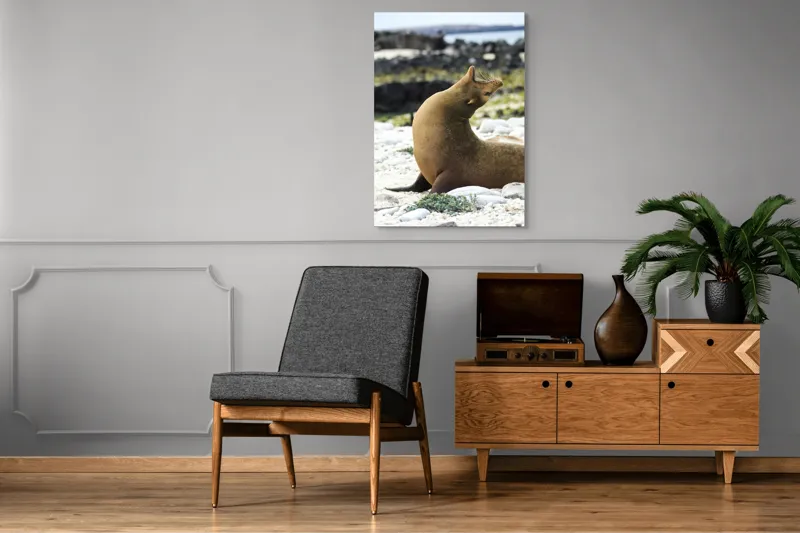 Tablou Canvas, "Leu de mare relaxându-se pe plajă", Nu pot spune cu certitudine ce sau cine este în imagine., 70 x 100 cm – poza 6