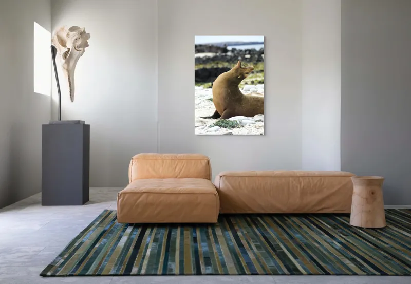 Tablou Canvas, "Leu de mare relaxându-se pe plajă", Nu pot spune cu certitudine ce sau cine este în imagine., 70 x 100 cm – poza 7