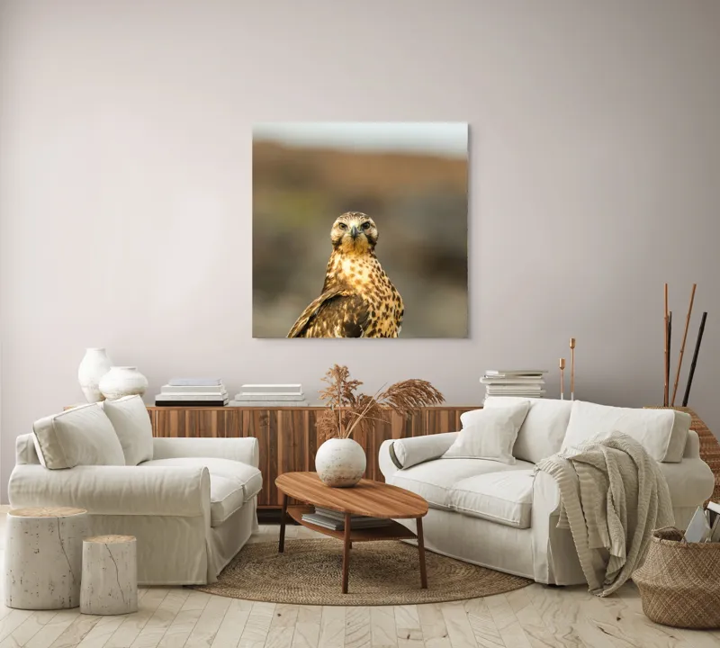 Tablou Canvas, "Prădătorul cerului cu privire ageră", Pene, Ochi, Privire, Inaripata, Campie, 100 x 100 cm – poza 3