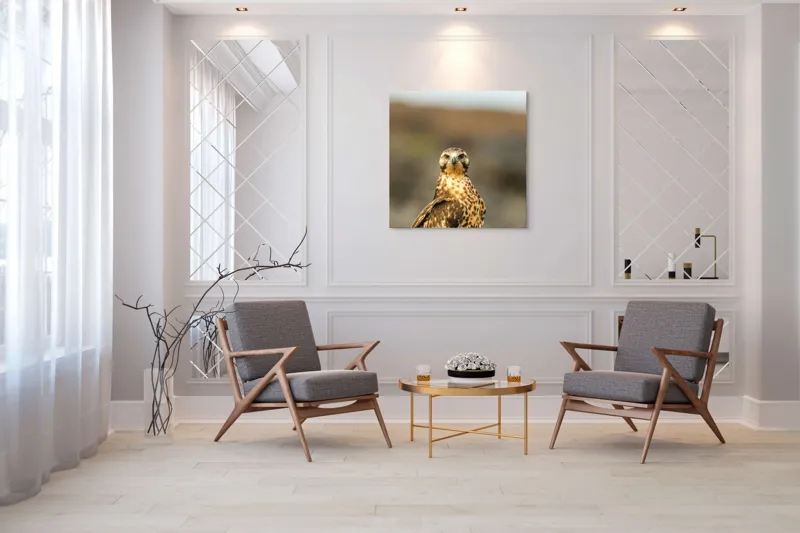 Tablou Canvas, "Prădătorul cerului cu privire ageră", Pene, Ochi, Privire, Inaripata, Campie, 100 x 100 cm – poza 7